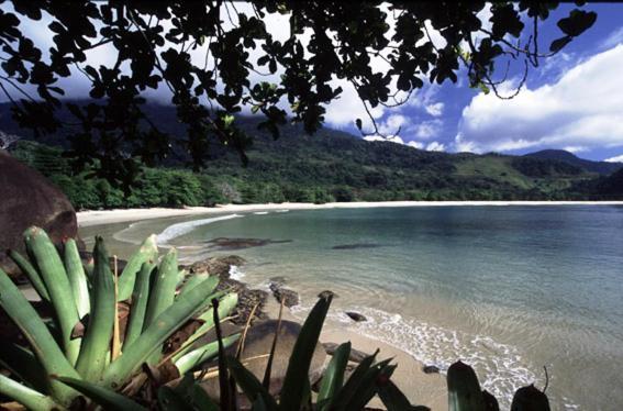 Recanto Tangara - Chale - Praia Do Felix Ubatuba Exteriör bild